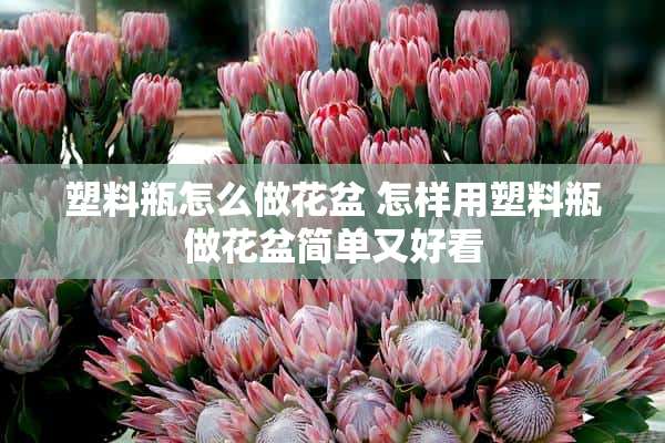 塑料瓶怎么做花盆 怎样用塑料瓶做花盆简单又好看