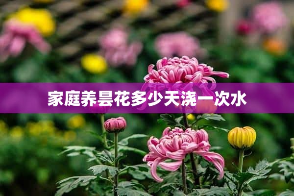 家庭养昙花多少天浇一次水