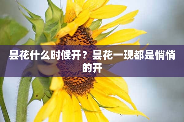 昙花什么时候开？昙花一现都是悄悄的开