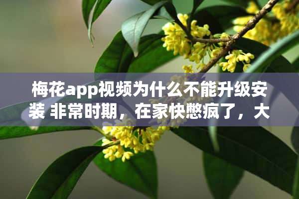 梅花app视频为什么不能升级安装 非常时期，在家快憋疯了，大家都分享下自己的宅家解闷宝典呗