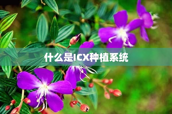 什么是ICX种植系统