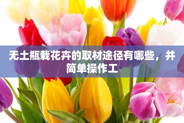 无土瓶栽花卉的取材途径有哪些，并简单操作工