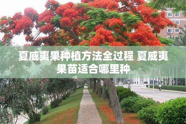 夏威夷果种植方法全过程 夏威夷果苗适合哪里种