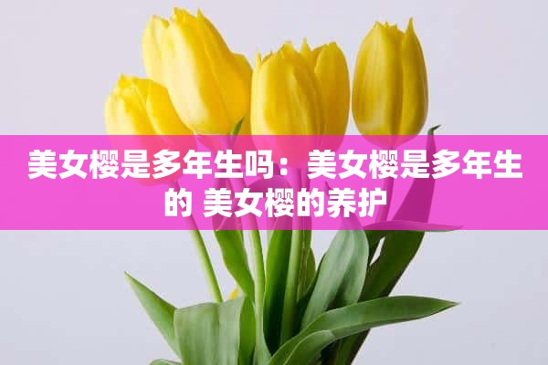 **樱是多年生吗：**樱是多年生的 **樱的养护