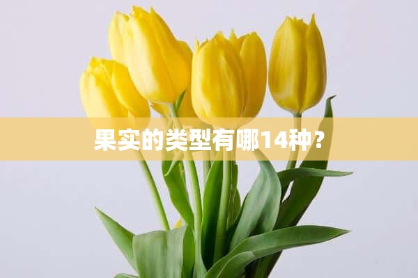 果实的类型有哪14种？