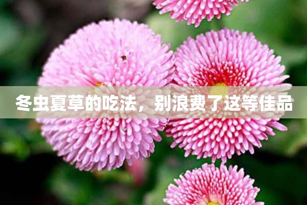 冬虫夏草的吃法，别浪费了这等佳品