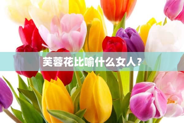 芙蓉花比喻什么女人？