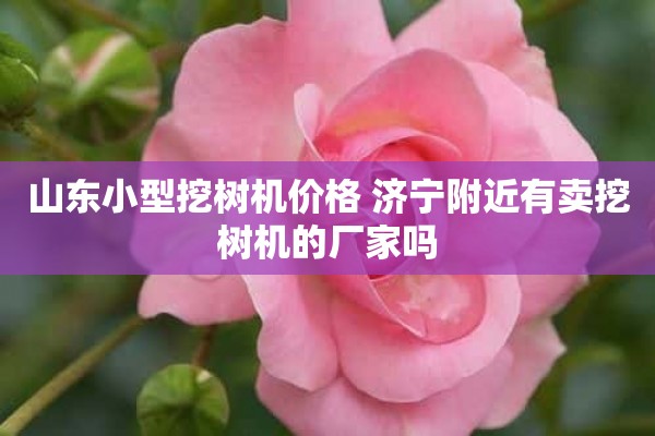 山东小型挖树机价格 济宁附近有卖挖树机的厂家吗