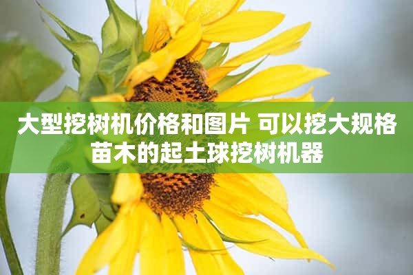 大型挖树机价格和图片 可以挖大规格苗木的起土球挖树机器