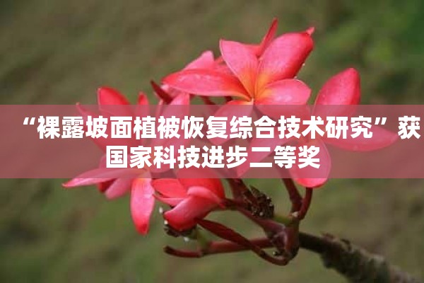 “**坡面植被恢复综合技术研究”获国家科技进步二等奖