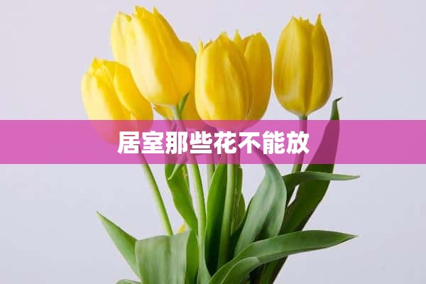 居室那些花不能放