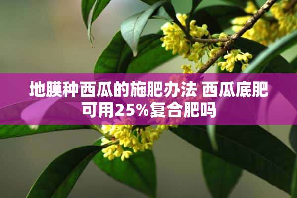 地膜种西瓜的施肥办法 西瓜底肥可用25%复合肥吗