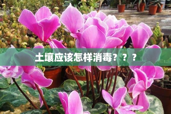 土壤应该怎样消毒？？？