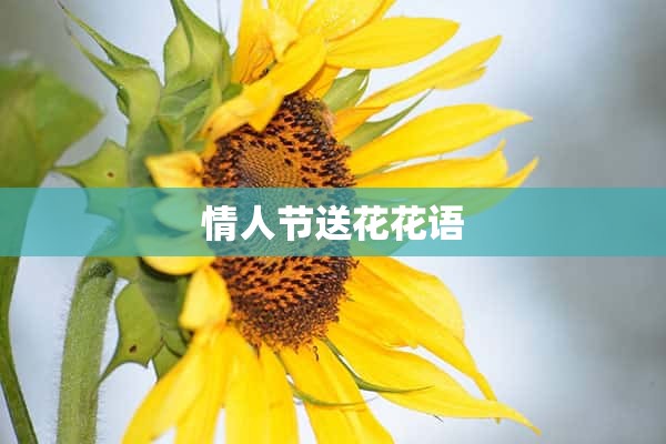 情人节送花花语