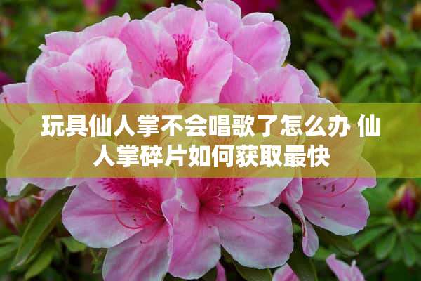 玩具仙人掌不会唱歌了怎么办 仙人掌碎片如何获取最快