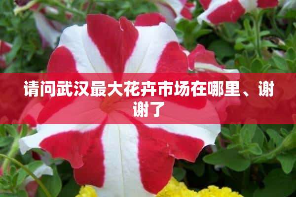 请问武汉最大花卉市场在哪里、谢谢了