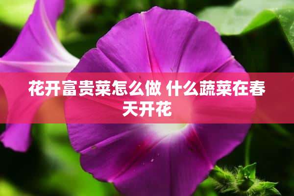 花开富贵菜怎么做 什么蔬菜在春天开花