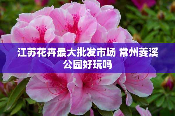 江苏花卉最大批发市场 常州菱溪公园好玩吗