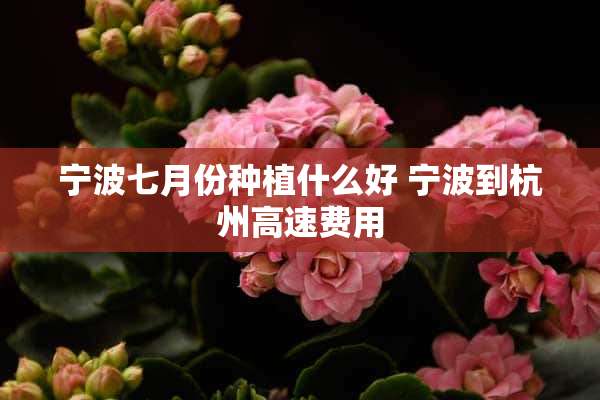 宁波七月份种植什么好 宁波到杭州高速费用