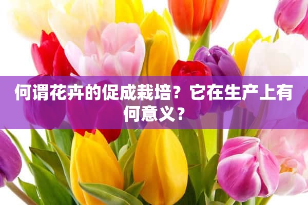 何谓花卉的促成栽培？它在生产上有何意义？