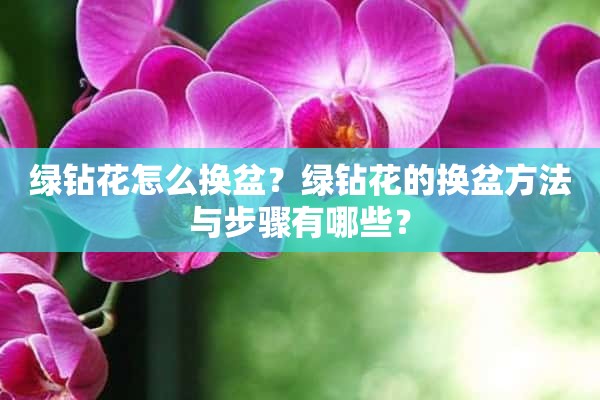 绿钻花怎么换盆？绿钻花的换盆方法与步骤有哪些？