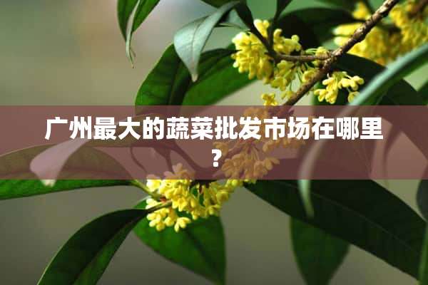 广州最大的蔬菜批发市场在哪里？