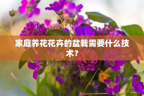 家庭养花花卉的盆栽需要什么技术？