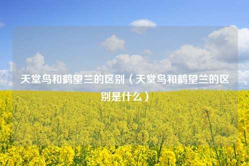 天堂鸟和鹤望兰的区别（天堂鸟和鹤望兰的区别是什么） 花卉