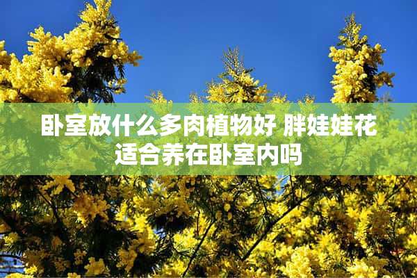 卧室放什么多肉植物好 胖娃娃花适合养在卧室内吗