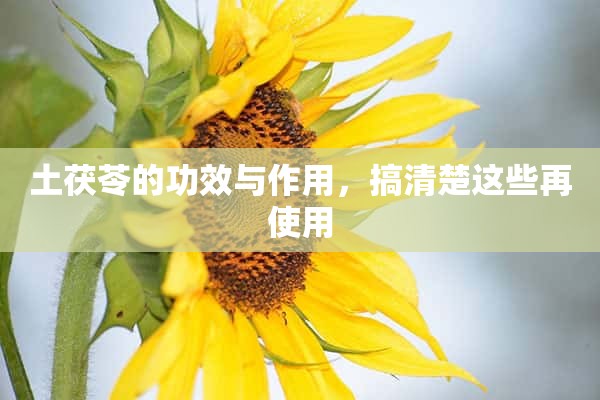 土茯苓的功效与作用，搞清楚这些再使用