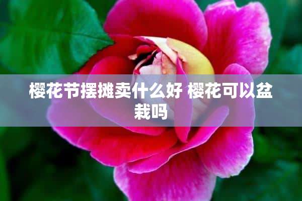 樱花节摆摊卖什么好 樱花可以盆栽吗