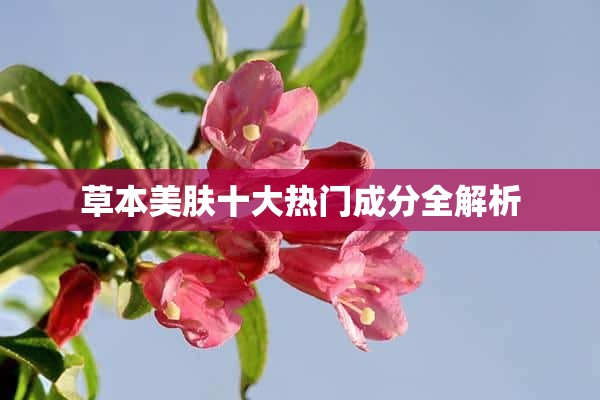 草本美肤十大热门成分全解析