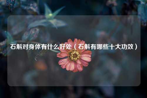 石斛对身体有什么好处（石斛有哪些十大功效） 花卉