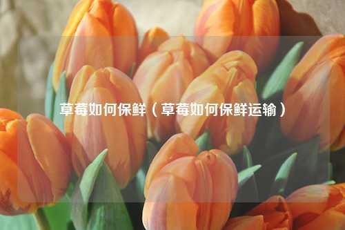 草莓如何保鲜（草莓如何保鲜运输） 花卉