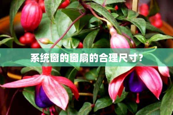 系统窗的窗扇的合理尺寸？