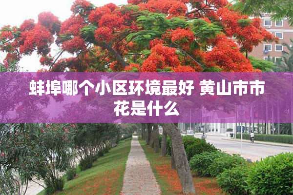 蚌埠哪个小区环境最好 黄山市市花是什么