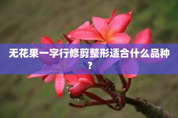 无花果一字行修剪整形适合什么品种？