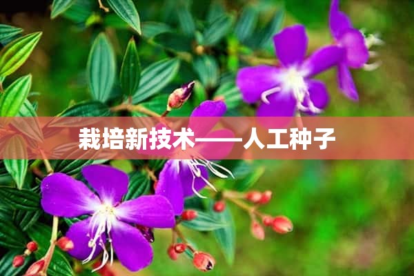 栽培新技术——人工种子