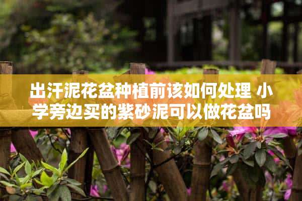 出汗泥花盆种植前该如何处理 小学旁边买的紫砂泥可以做花盆吗?如果可以家里也没有烤炉怎么让它干呢