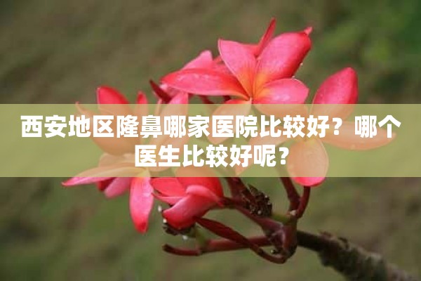 西安地区隆鼻哪家医院比较好？哪个医生比较好呢？