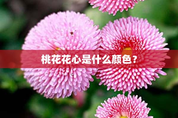 桃花花心是什么颜色？