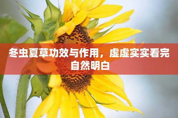 冬虫夏草功效与作用，虚虚实实看完自然明白