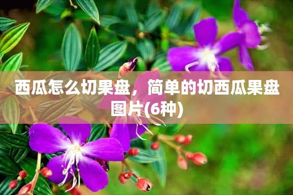 西瓜怎么切果盘，简单的切西瓜果盘图片(6种)