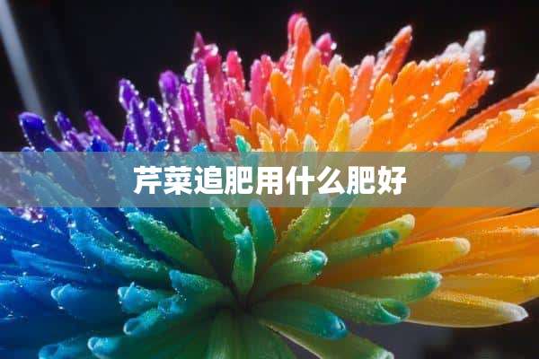 芹菜追肥用什么肥好