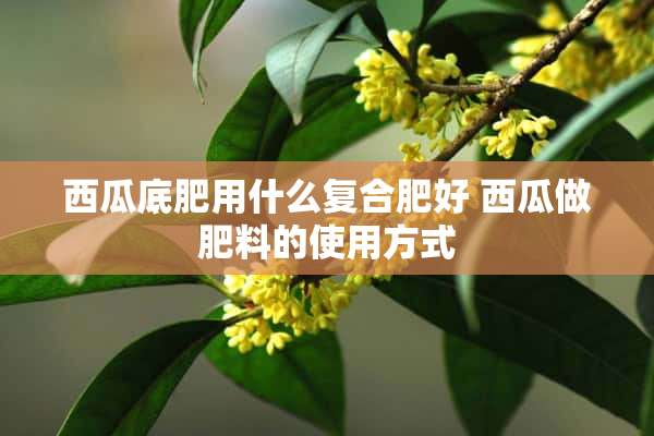 西瓜底肥用什么复合肥好 西瓜做肥料的使用方式