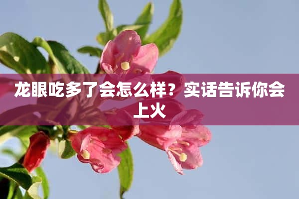 龙眼吃多了会怎么样？实话告诉你会上火