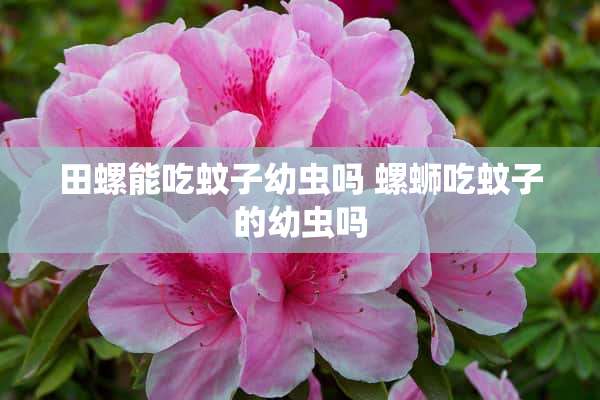 田螺能吃蚊子幼虫吗 螺蛳吃蚊子的幼虫吗