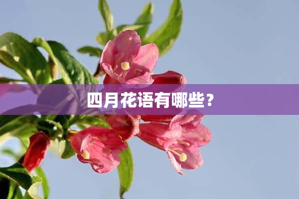 四月花语有哪些？