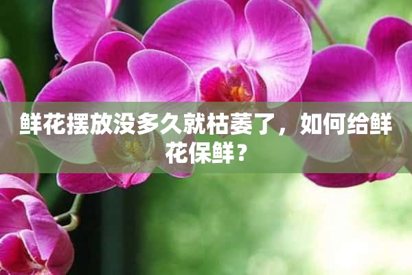 鲜花摆放没多久就枯萎了，如何给鲜花保鲜？