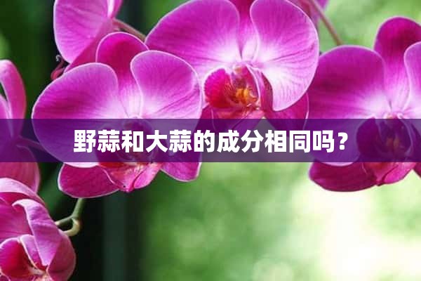 野蒜和大蒜的成分相同吗？